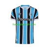 Tenue GREMIO Domicile 2023-2024 Maillot de Foot